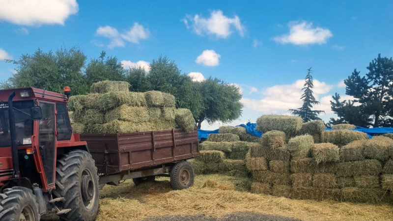 Talas Belediyesi’nden Yem Desteği