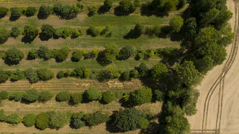 WWF-Türkiye'den Uyarı: “1.8 Dünya varmış gibi tüketiyoruz”