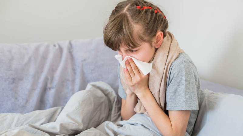 Gribi Hafife Almayın