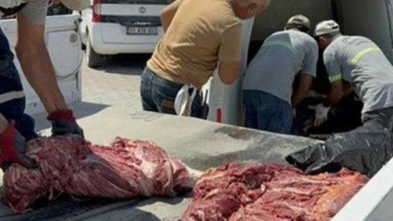 Gıdada Yeni Skandal; At ve Eşek Eti Yine Aynı İlden Çıktı