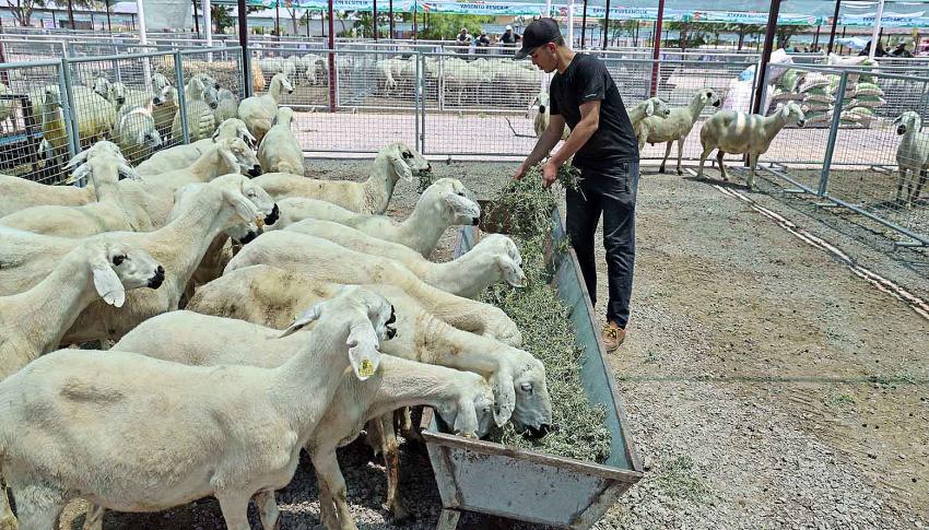 “Kayseri'de Bir Numara Talas Belediyesi”