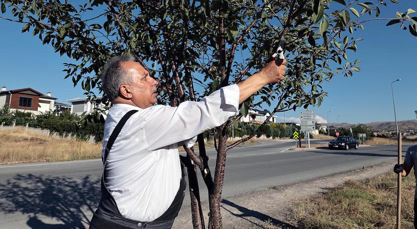 Talas’ın Bahçıvan Başkanı 