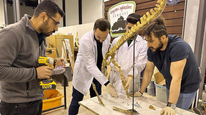 7,5 Milyon Yıllık Fosil Kazıları, Dünya Paleontoloji Tarihine Işık Tutuyor