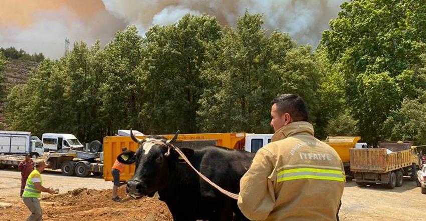 JANDARMA BAZI BÖLGELERDE TAHLİYELER YAPTI