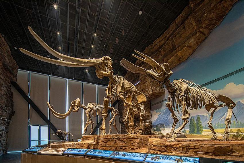 Dünyanın en büyük Paleozooloji Müzelerinden biri oldu
