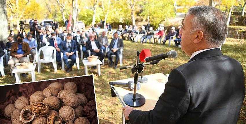 CEVİZLER YEŞERSİN GESİ BAĞLARI ŞENLENSİN TARLA GÜNÜ