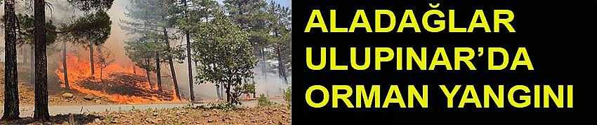 ALADAĞLAR ULUPINAR’DA ORMAN YANGINI