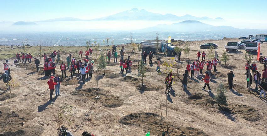 Kocasinan Belediyesi, Kızılay Haftası’nı Ağaçlarla Taçlandırdı