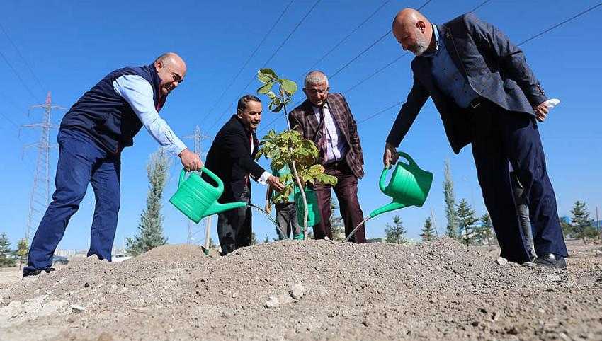 DİKİLEN HER BİR AĞAÇ, GELECEĞE BIRAKILAN EN BÜYÜK MİRASTIR