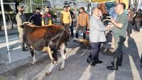 Talas’ta Kurban Pazarına Başvurular Başladı