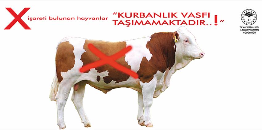 KURBAN PAZARINDA İLK VE YENİ UYGULAMA