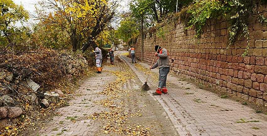 MELİKGAZİ’DE SON BAHARLA BİRLİKTE YAPRAK TEMİZLİĞİ 