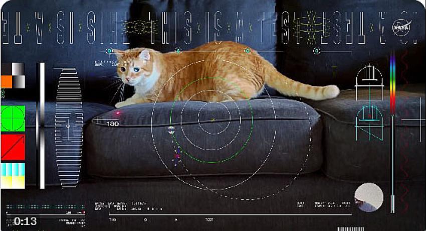 Uzaydan dünyaya kedi videosu; Uzaklık 31 milyon km