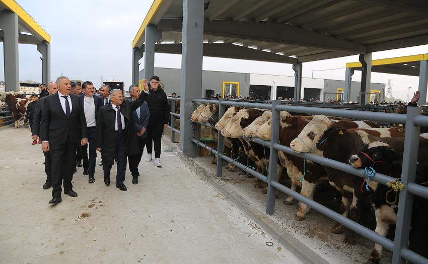 Büyükkılıç, canlı hayvan pazarında sıkı pazarlığa katıldı