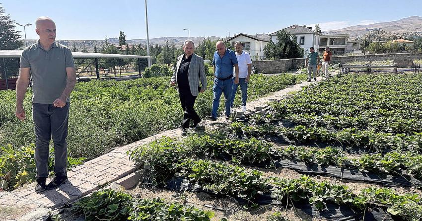 ÇİFTÇİ KAZANACAK EKONOMİYE KATKI OLACAK