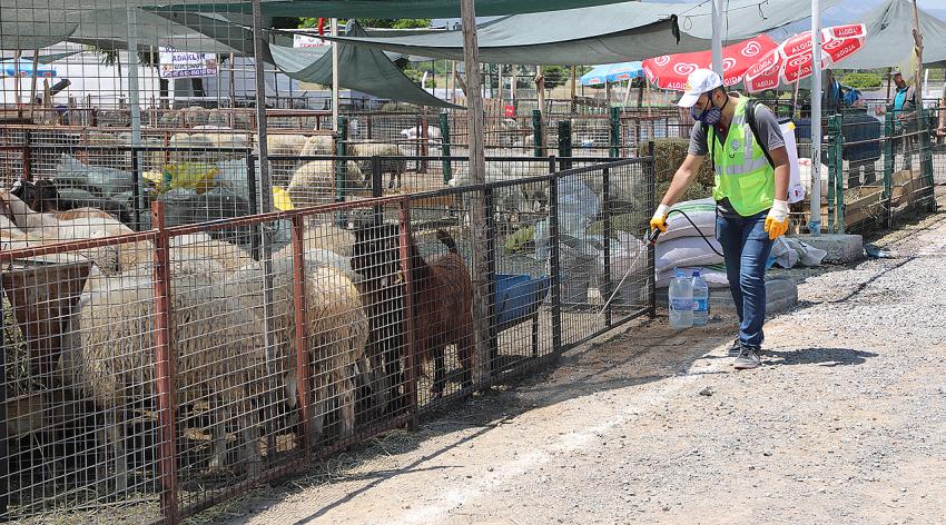 Talas’ın Kurban Pazarı’na Vatandaştan Tam Not