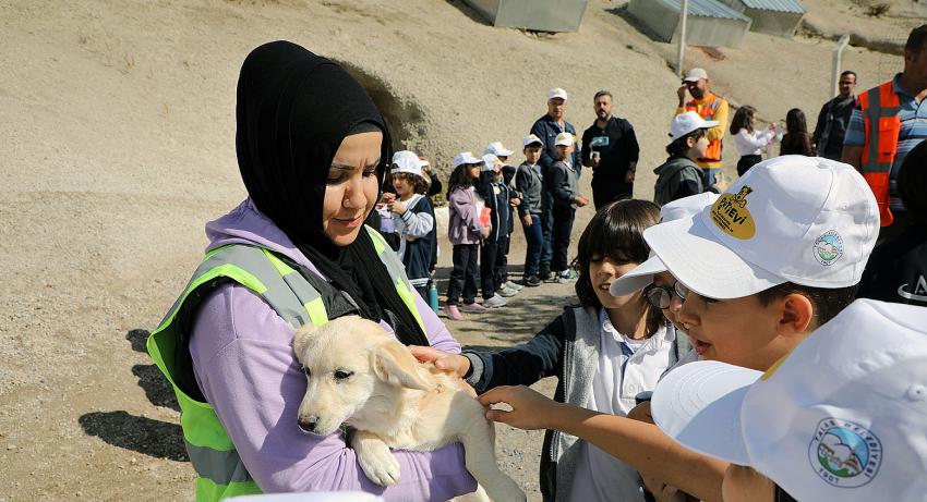 TALAS PATİ EVİ: CANDOSTLARA VİP SERVİS