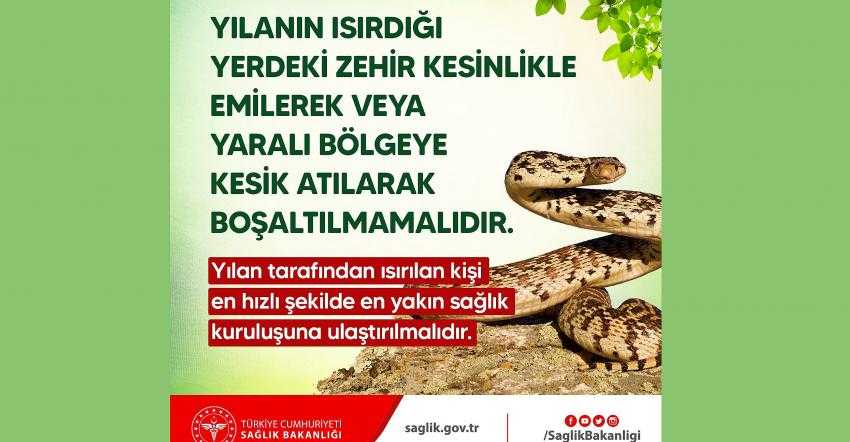 YILAN ISIRIRSA FİLM SENARYOLARINDAKİ GİBİ YAPMAYIN