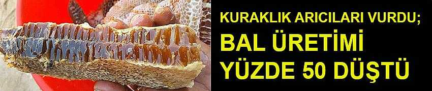 KURAKLIK ARICILARI VURDU; BAL ÜRETİMİ YÜZDE 50 DÜŞTÜ