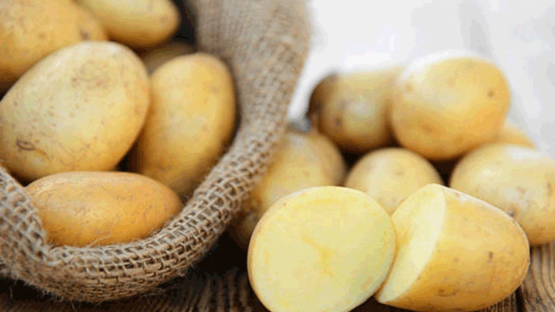 Bakanlıktan Patates Fiyatları Hakkında Açıklama Geldi; Doğru değil