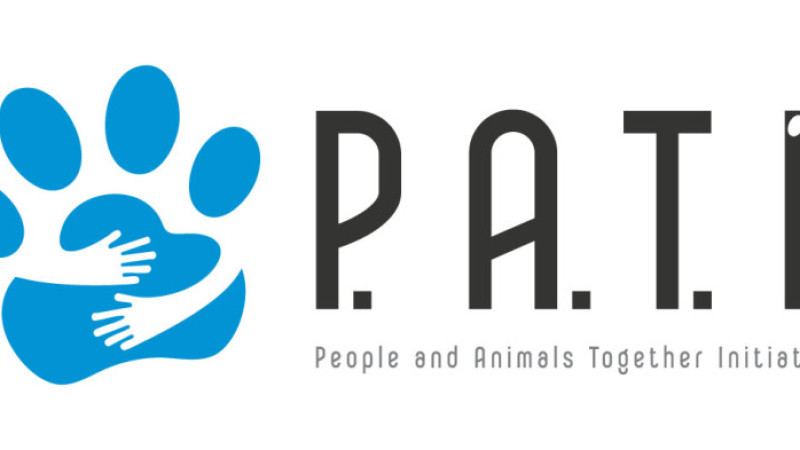 Sokak hayvanları için kalpleri ısıtacak bir buluşma