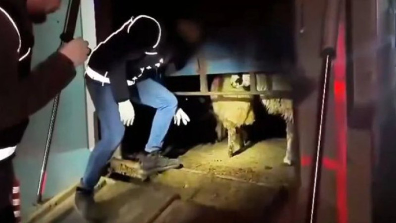 İnsanların zehirleyen tacirlerden her şey beklenir