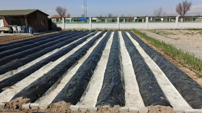 Büyükşehir’in Doğal Ürünler Bahçesi ve Pazarı’nda Yeni Sezon Hazırlığı