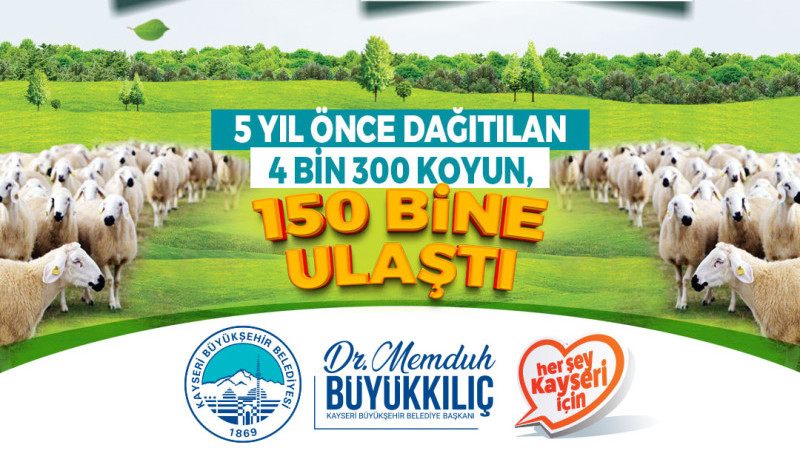 Başkan Büyükkılıç’tan Kırsala, Kendi Kendini Büyüten Model: 150 Bin Küçükbaş Artışı