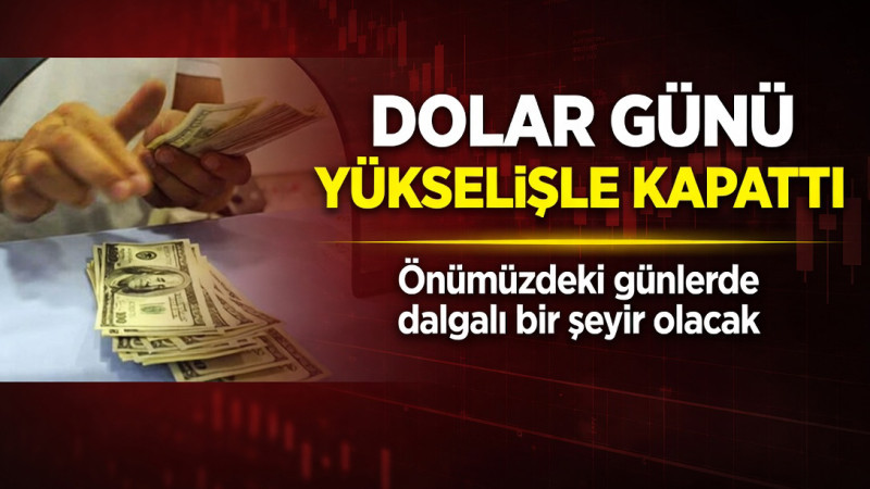 Döviz kurları karışık seyir izledi