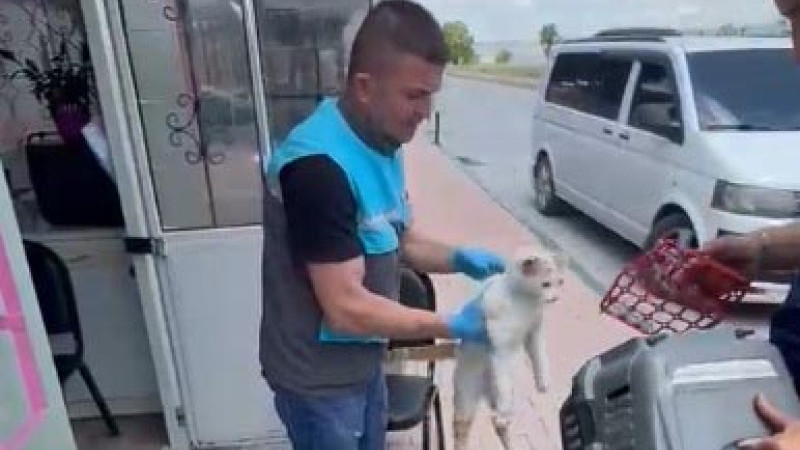 Kayseri Büyükşehir İtfaiyesi’nden Patili Dosta Zamanında Müdahale