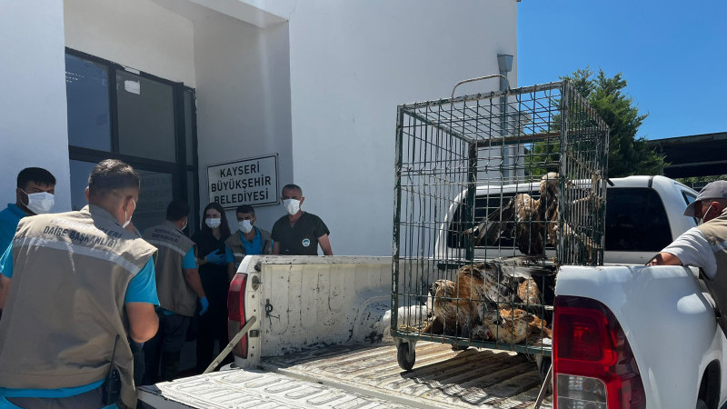  Rehabilitasyonunu Tamamladığı 35 Yaban Kuşunu Yeniden Doğayla Buluşturdu