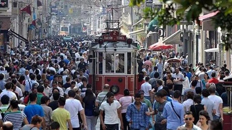Herkes kütüğüne dönseydi Türkiye haritası nasıl olurdu?