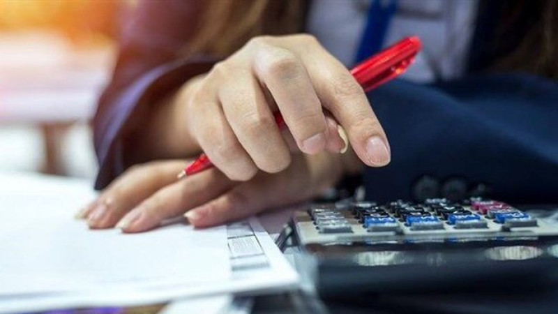 Vergi Denetimlerinde Büyük Mükellefler Mercek Altında: Oran Yüzde 31,3'e Çıktı