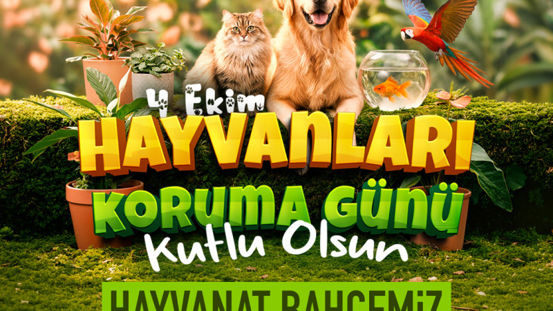 Büyükkılıç’tan “4 Ekim Dünya Hayvanları Koruma Günü” Mesajı: Hayvanat Bahçesi Ücretsiz