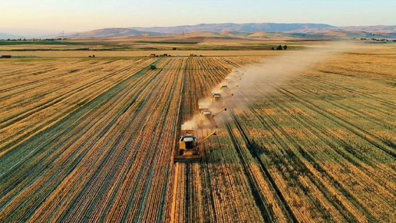 Lisanslı Depoculukta Ücret Tarifelerine Yeni Düzenleme