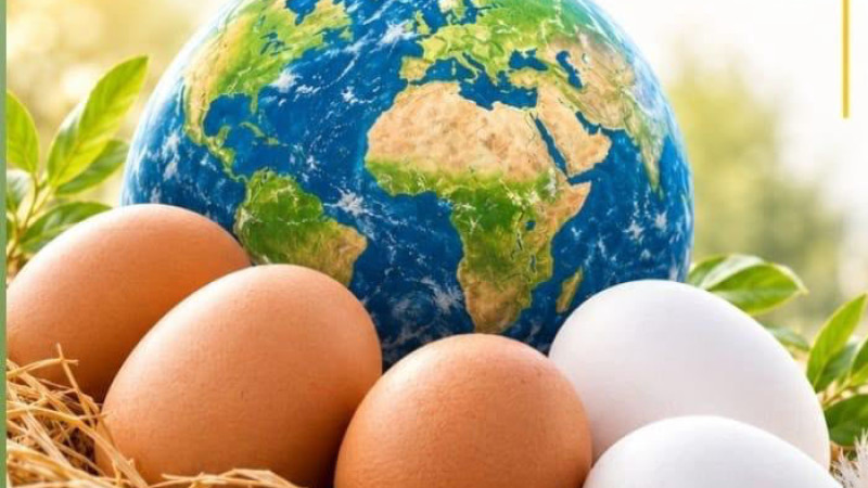 YUM-BİR Başkanı Afyon; Yumurta üretiminde dünyada ilk 10’dayız